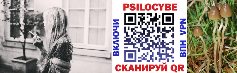 ОМГ ОМГ ТОР  Нестеров  Галлюциногенные грибы мицелий 